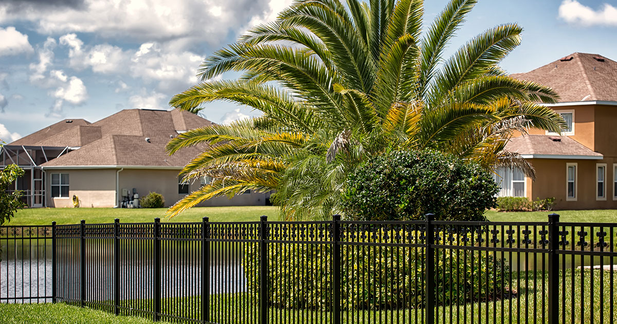 A black aluminum fence with a palm tree and a couple houses
