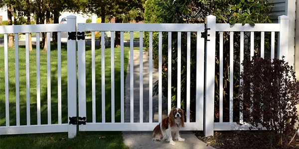 White fence with dog