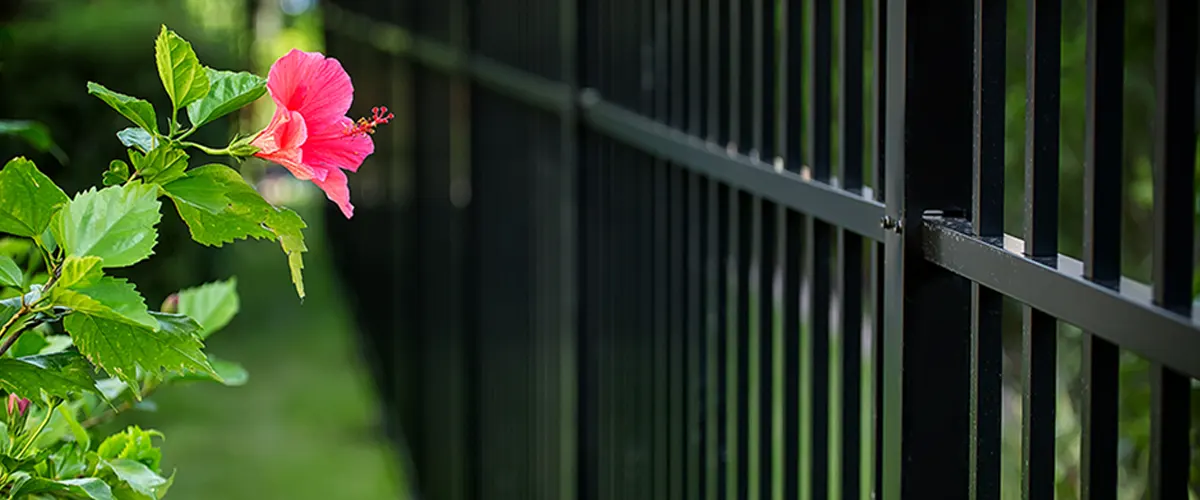 Aluminum fence with a pink flower near it