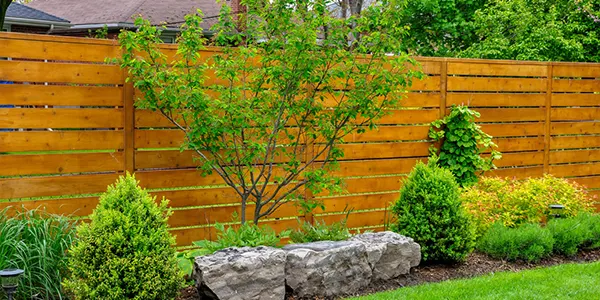 Slat fence with tree