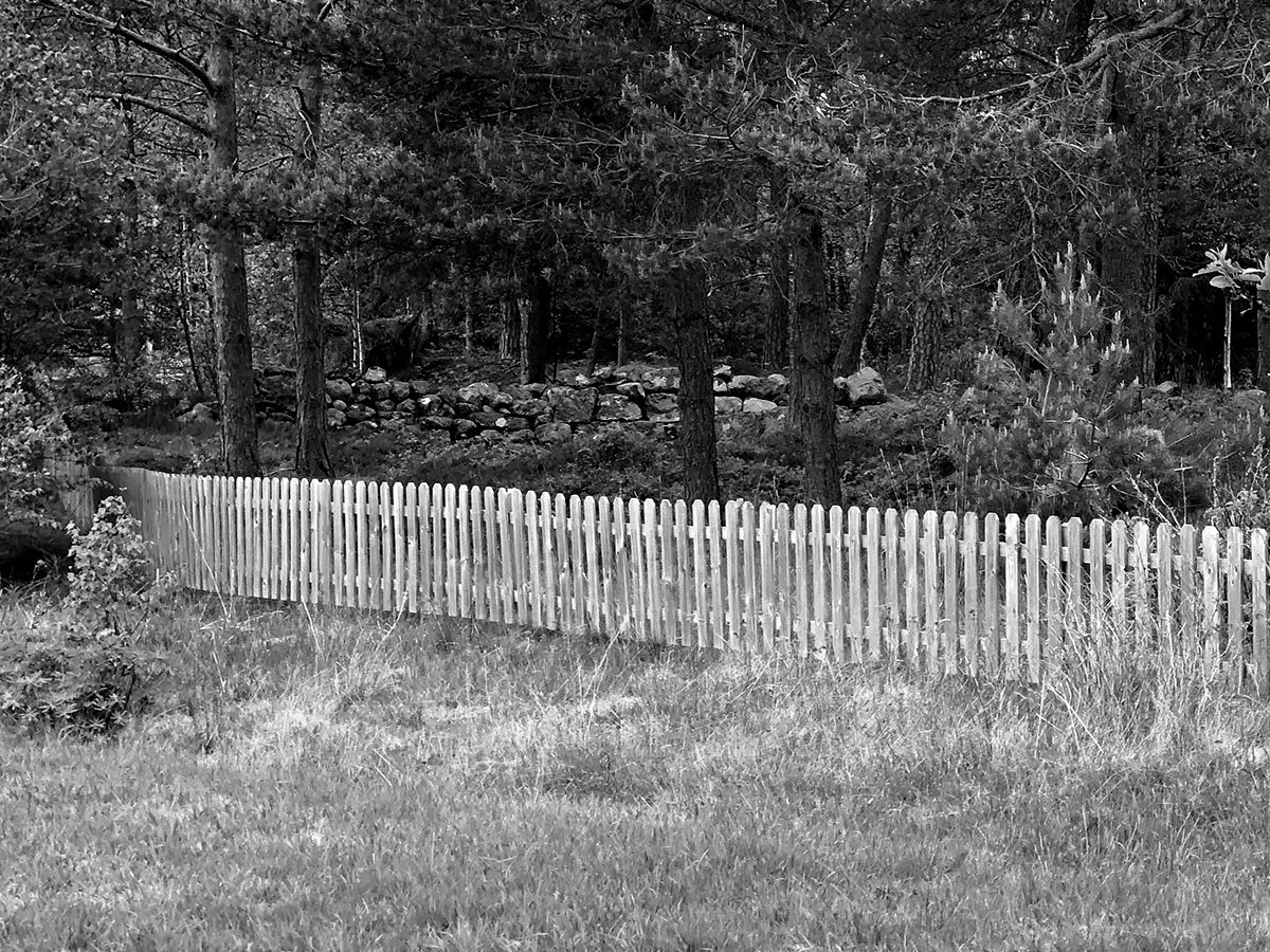 Hankins Decks Custom Built Decks And Fences In Johnson County, Kansas